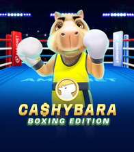 Cashybara Boxing Edition