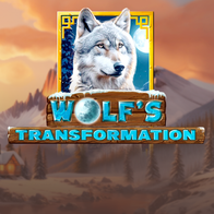 Wolfs Transformation