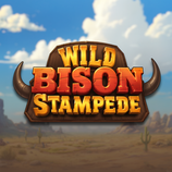 Wild Bison Stampede